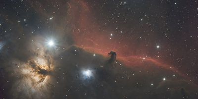 Sp Horsehead